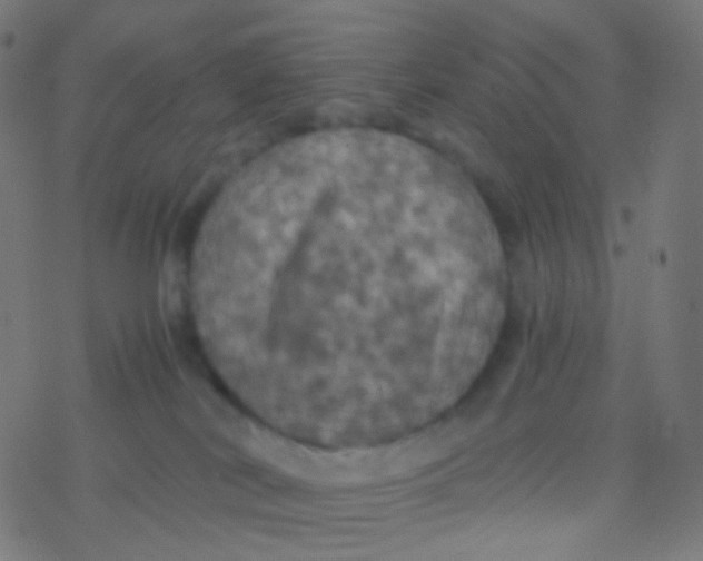 X0000077360038200611101650