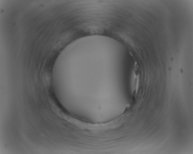 X0000077360039200611101650