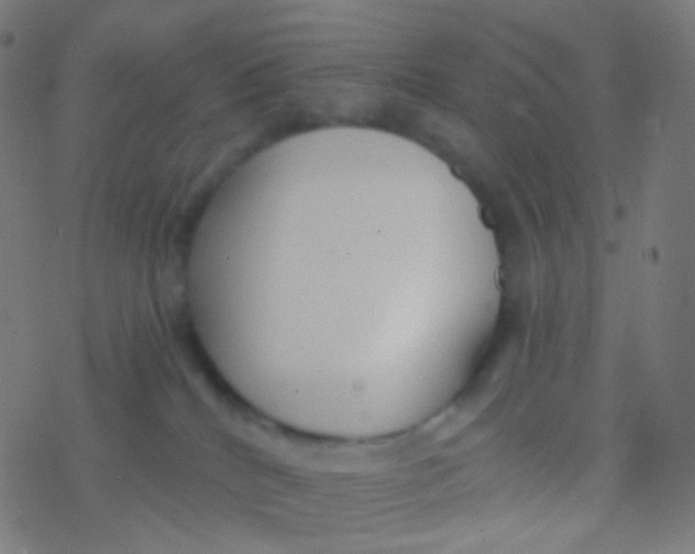 X0000077360040200611101650