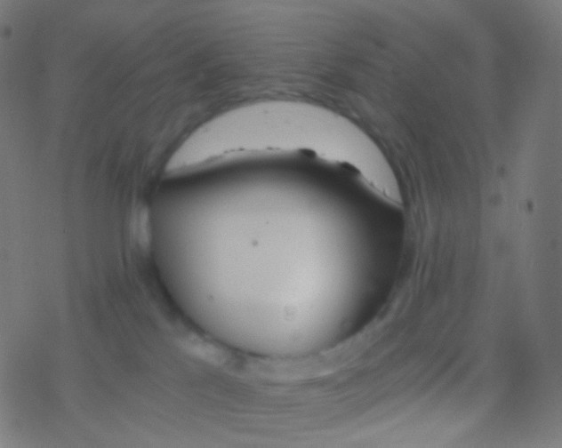 X0000077360041200611101650