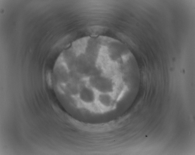 X0000077360042200611101650