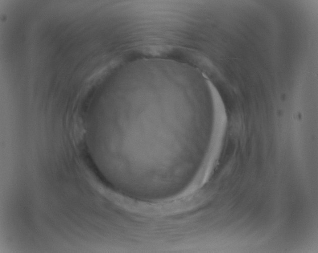 X0000077360043200611101650