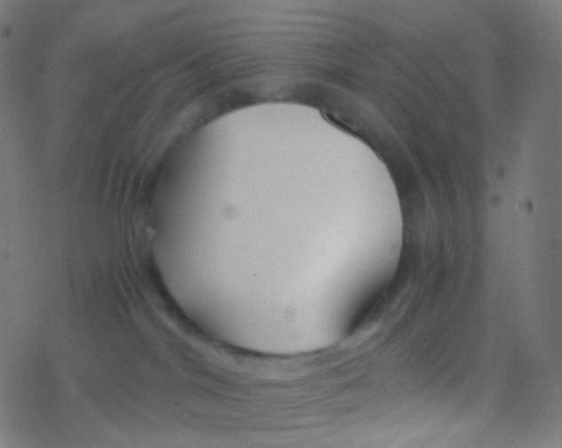 X0000077360044200611101650