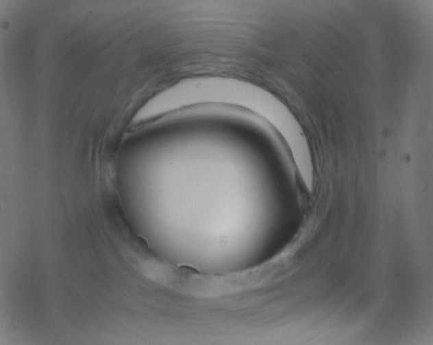 X0000077360045200611101650