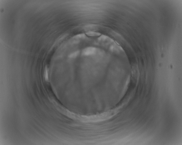 X0000077360046200611101650