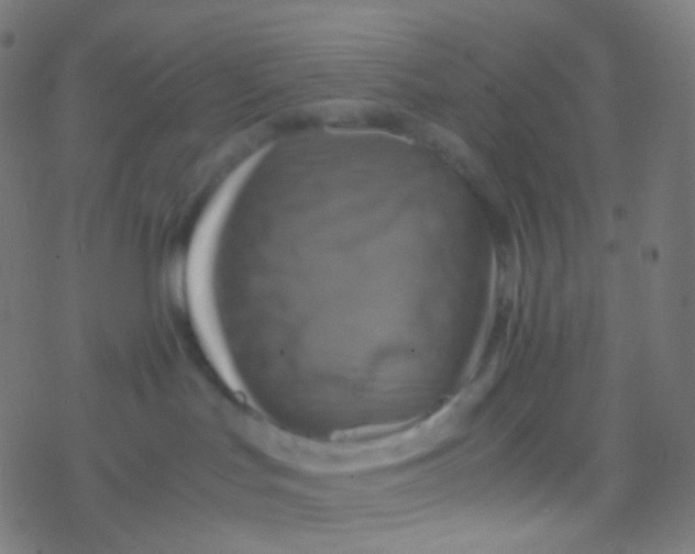 X0000077360047200611101650