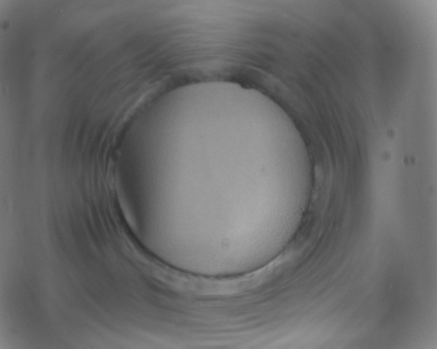 X0000077360048200611101650