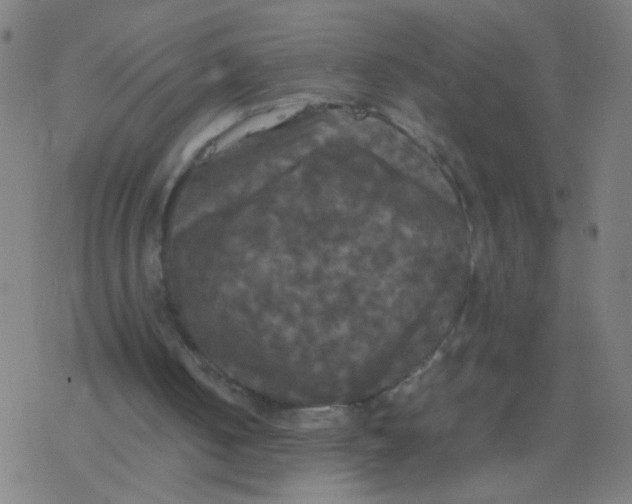 X0000077360050200611101649