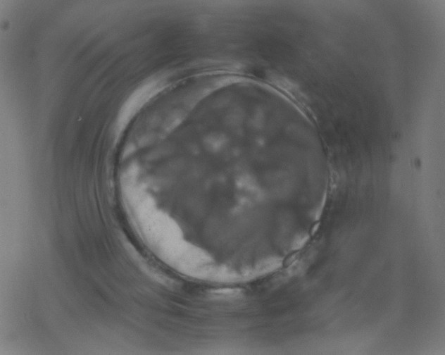 X0000077360053200611101649