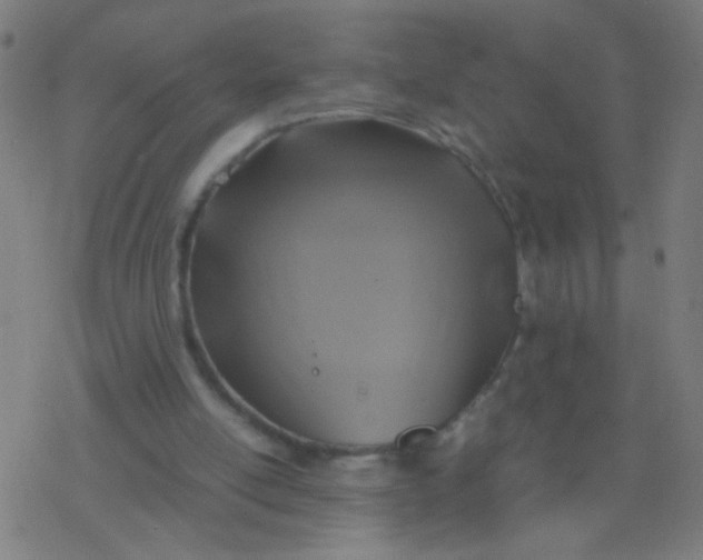 X0000077360054200611101649