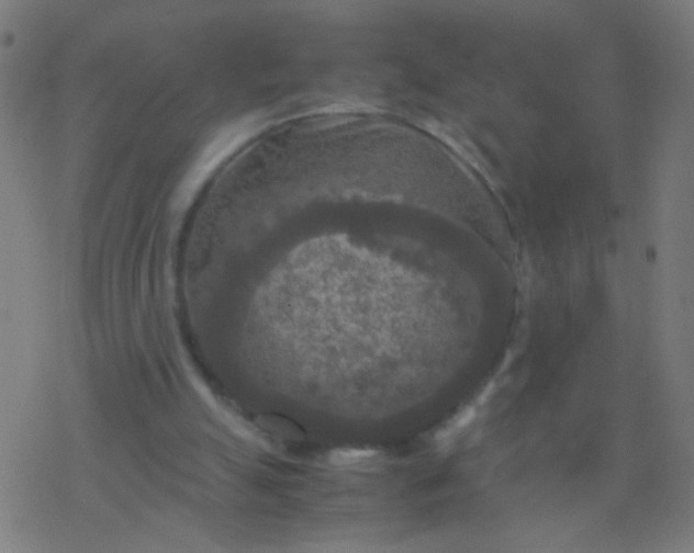 X0000077360055200611101649