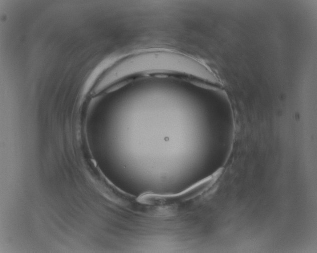 X0000077360056200611101649