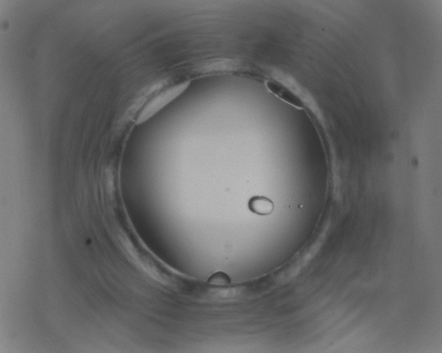 X0000077360057200611101649