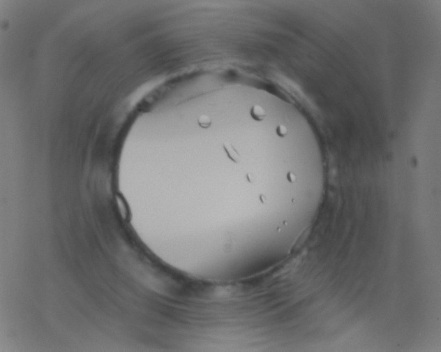 X0000077360060200611101649