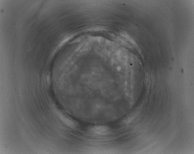 X0000077360063200611101649