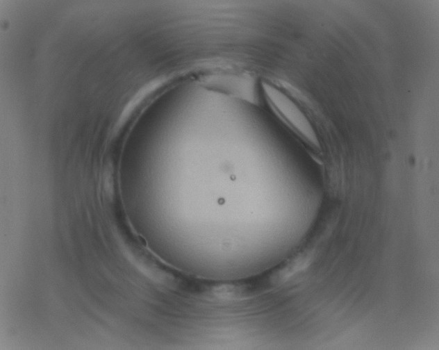 X0000077360064200611101649