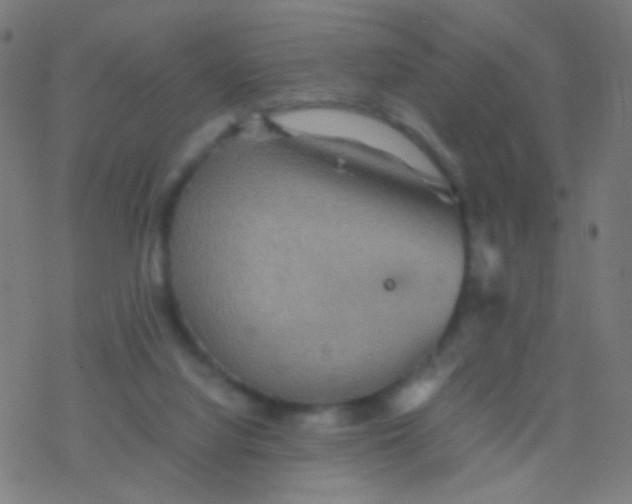 X0000077360068200611101649