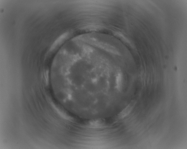 X0000077360070200611101649