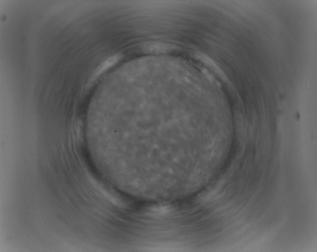 X0000077360071200611101649