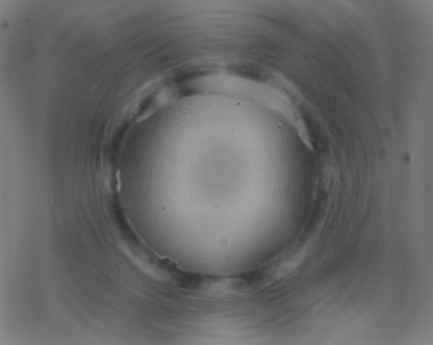 X0000077360072200611101649