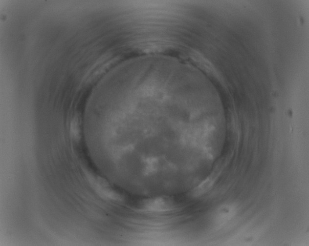 X0000077360074200611101649