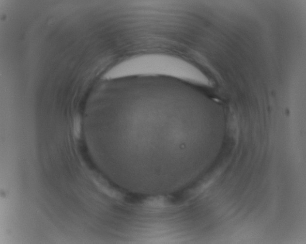 X0000077360076200611101650