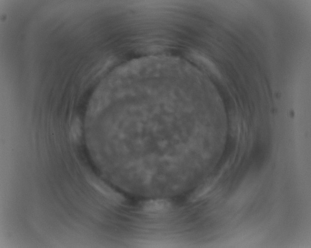 X0000077360077200611101650