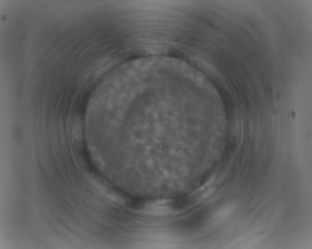 X0000077360078200611101650