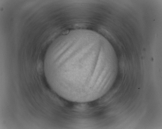 X0000077360079200611101650