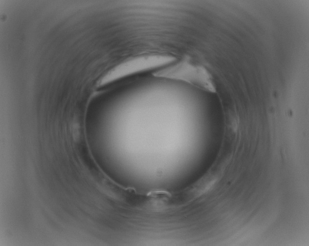 X0000077360080200611101650