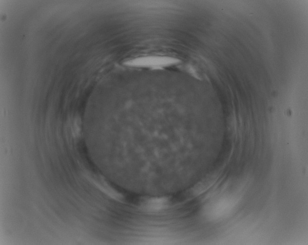 X0000077360081200611101650