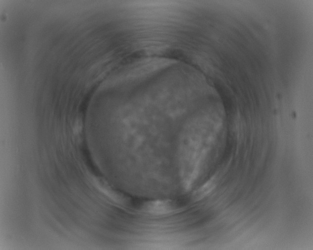 X0000077360082200611101650