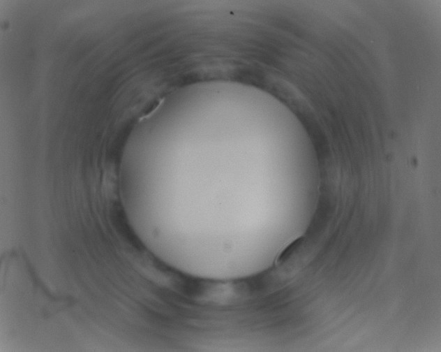 X0000077360083200611101650