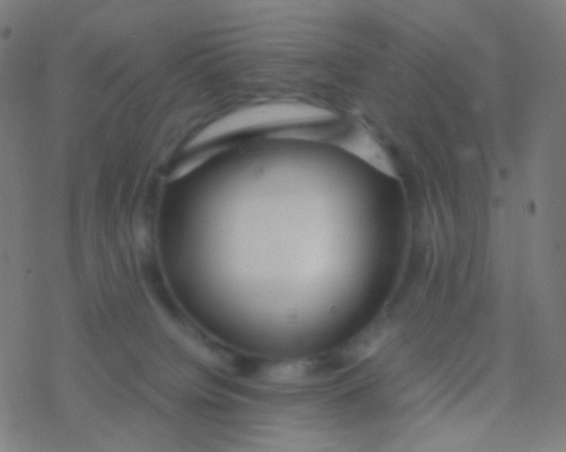 X0000077360084200611101650