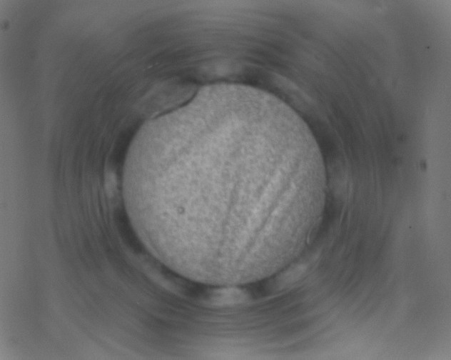 X0000077360087200611101650