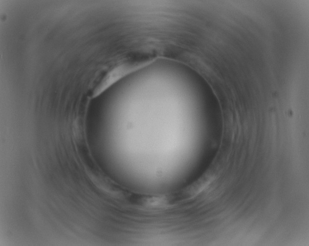 X0000077360088200611101650