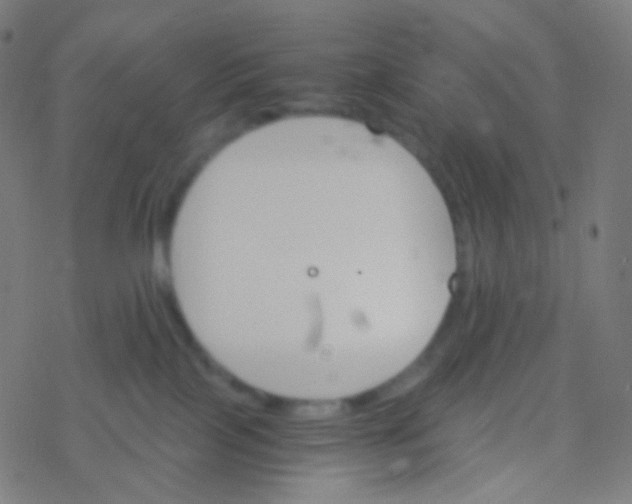 X0000077360089200611101650