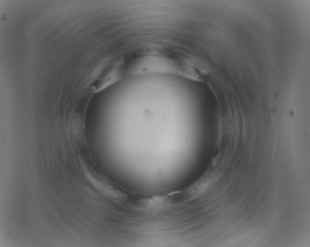 X0000077360092200611101650