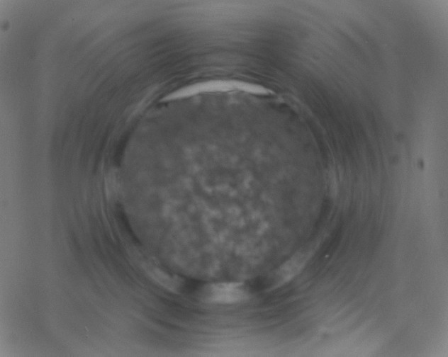 X0000077360093200611101650