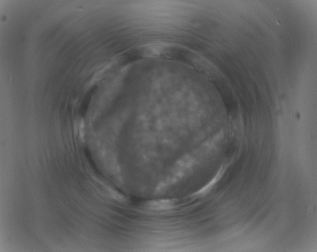 X0000077360094200611101650