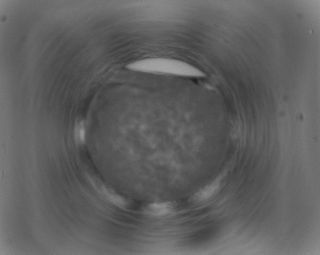 X0000077360095200611101650