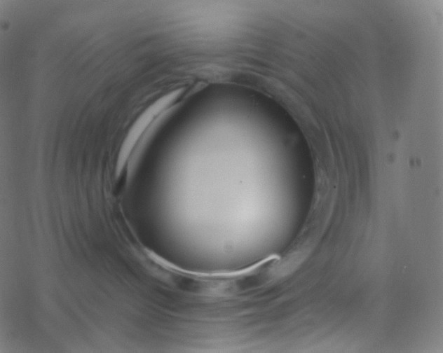 X0000077360096200611101650