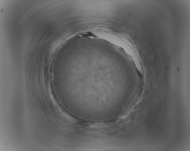 X0000077360097200611101649