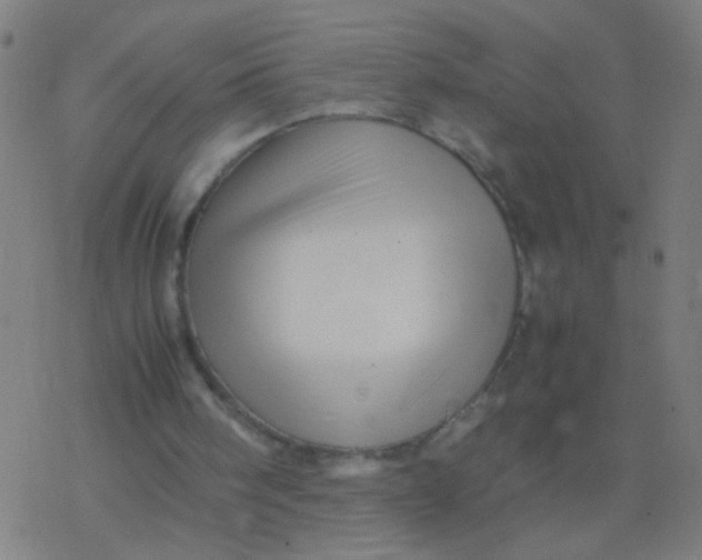 X0000077360098200611101649