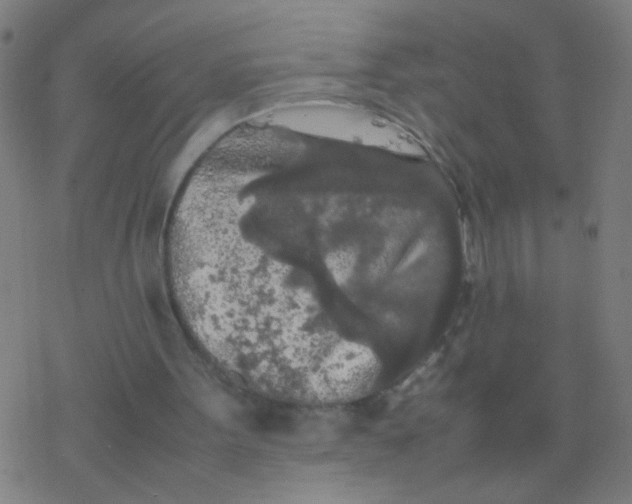 X0000077360099200611101649