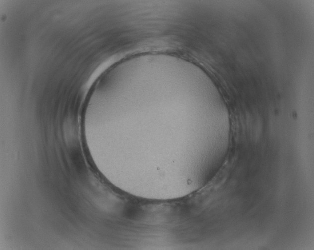 X0000077360100200611101649