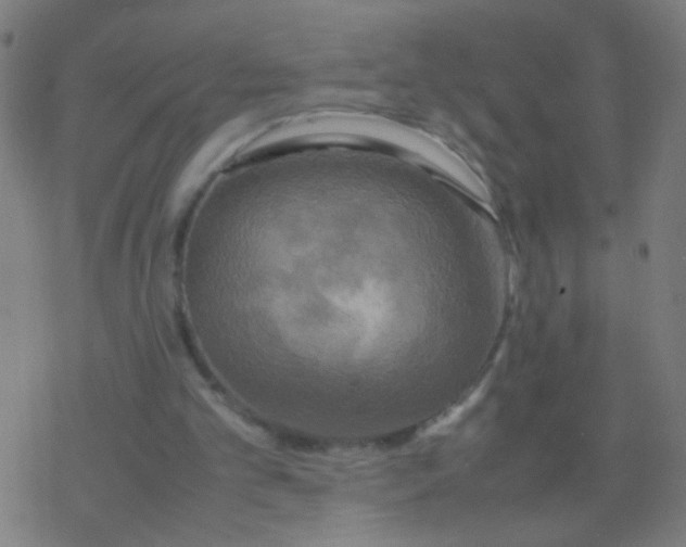 X0000077360101200611101649