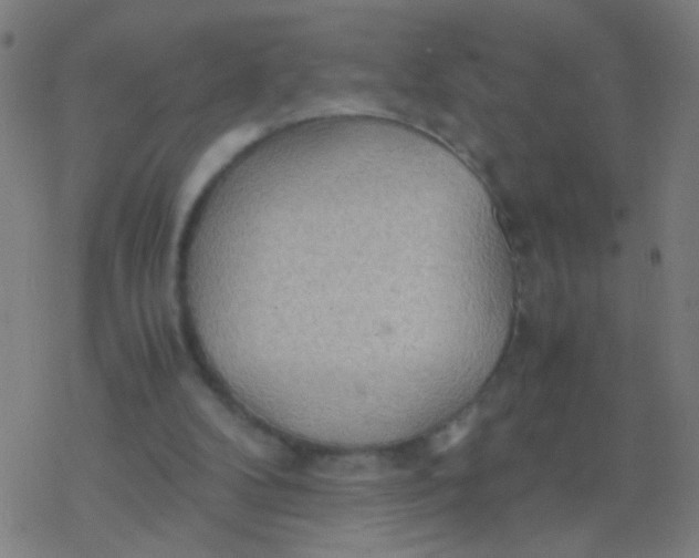 X0000077360104200611101649