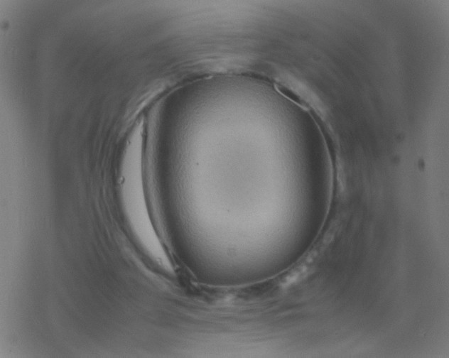 X0000077360105200611101649