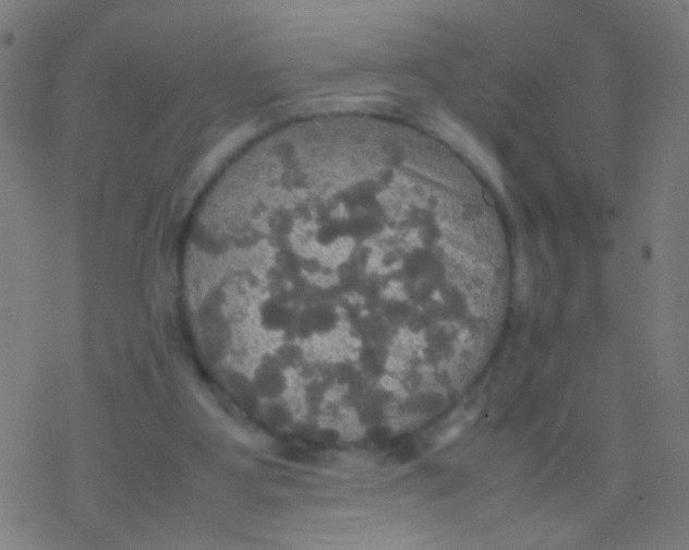 X0000077360107200611101649